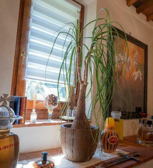 Cathedral Wellness Stay Sauna & Massage