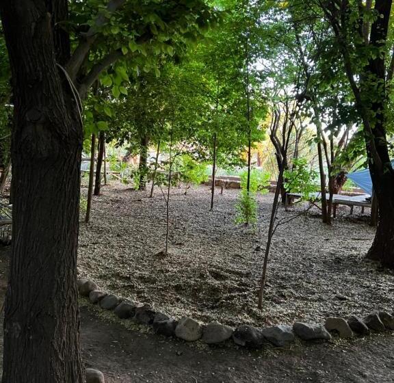 בית מלון כפרי El Bosque