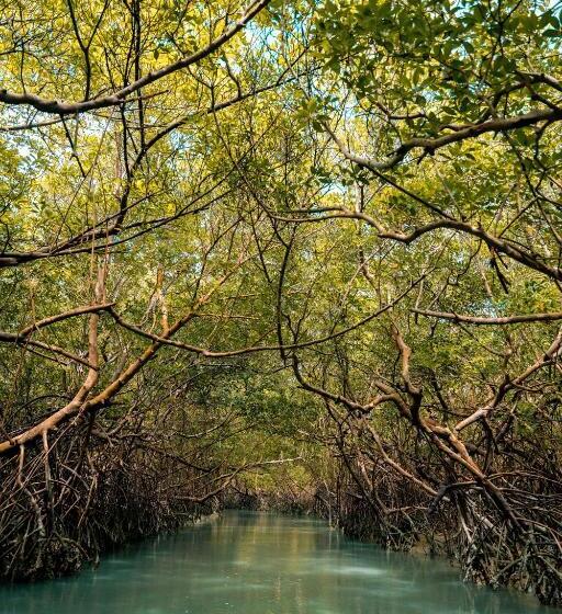 هتل Icaraí Beach