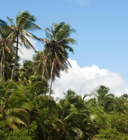 هتل Icaraí Beach