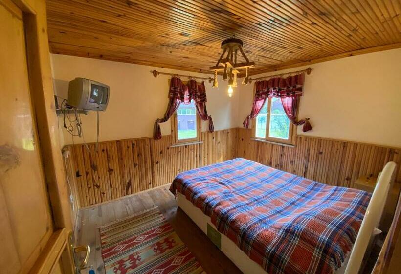 Отель şimşirligöl