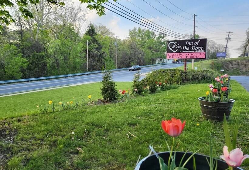 ホテル Inn Of The Dove   Romantic Luxury Suites With Jacuzzi & Fireplace At Harrisburg Hershey Philadelphia