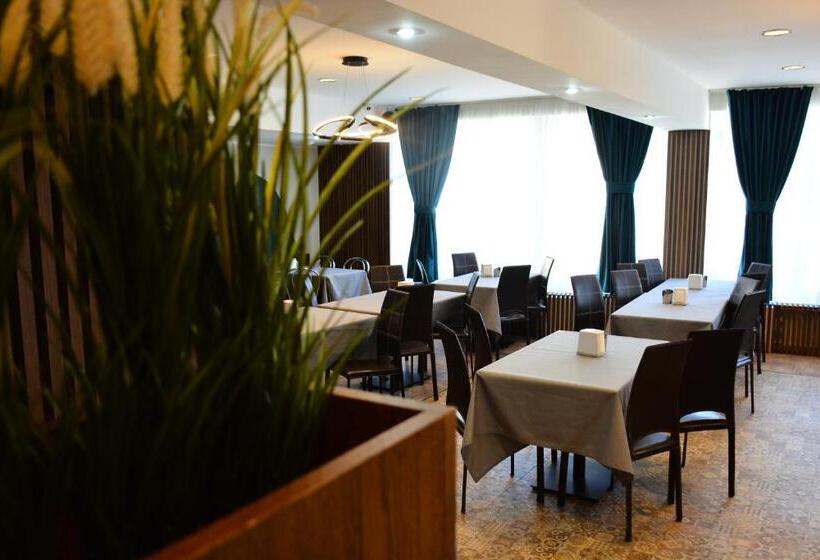 酒店 Pensiunea Diana Ski