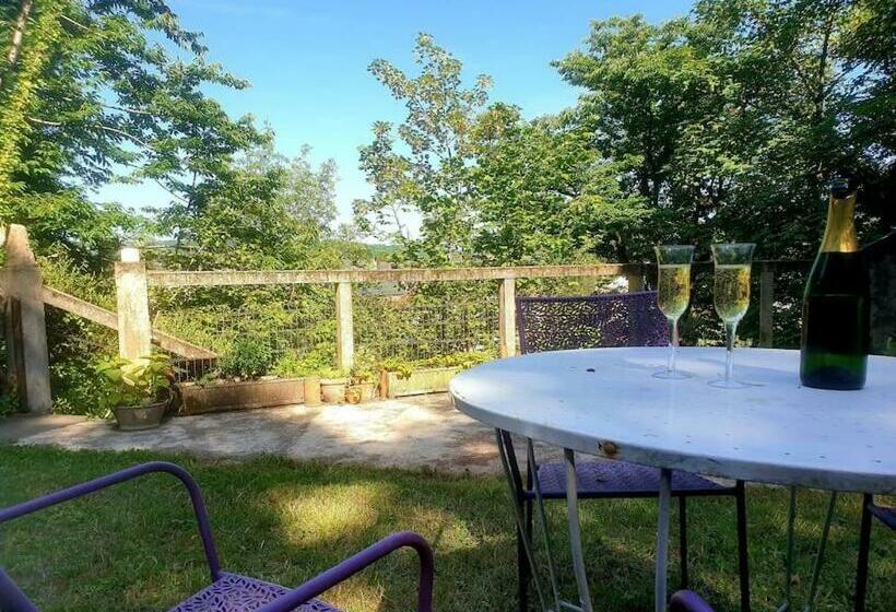 La Belle Védère   Appartement Dans La Canopée