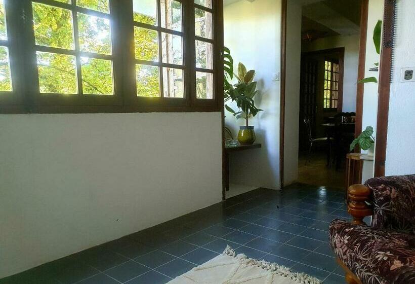 La Belle Védère   Appartement Dans La Canopée