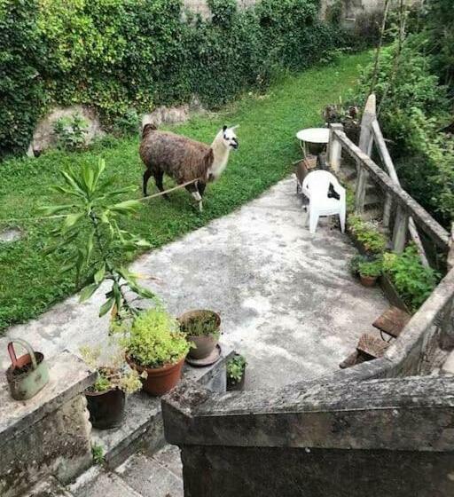 La Belle Védère   Appartement Dans La Canopée