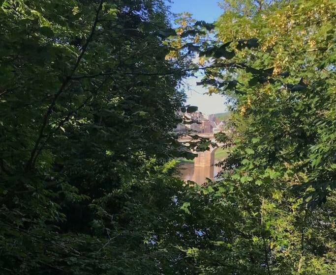 La Belle Védère   Appartement Dans La Canopée