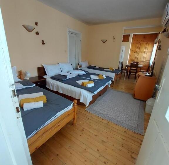 بنسيون вила радеви