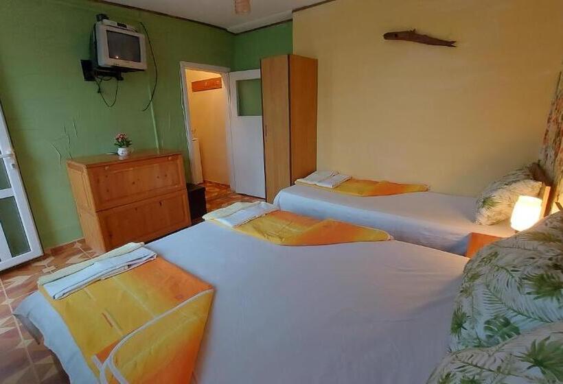 بنسيون вила радеви