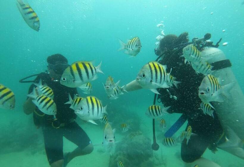 פנסיון Atardecer Beach Baru