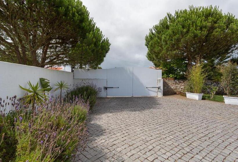 بنسيون Beguest Sunroca Suites