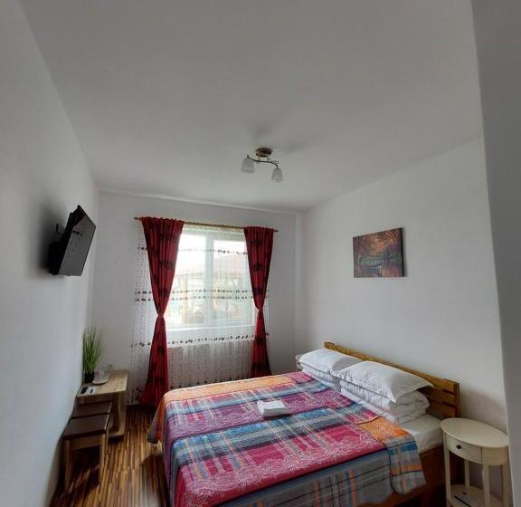 Пансион Casa De La Baltă