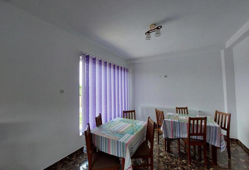 Пансион Casa De La Baltă