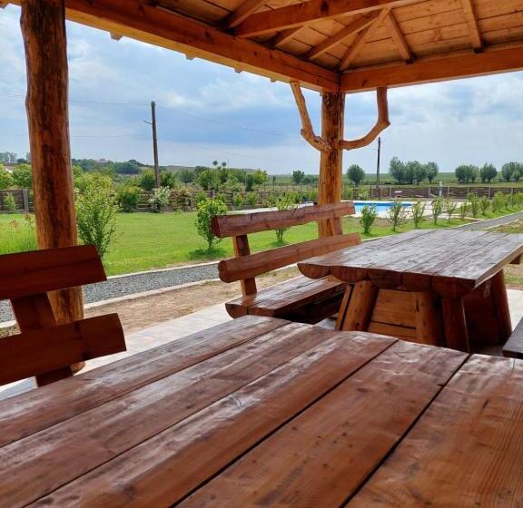 Пансион Casa De La Baltă