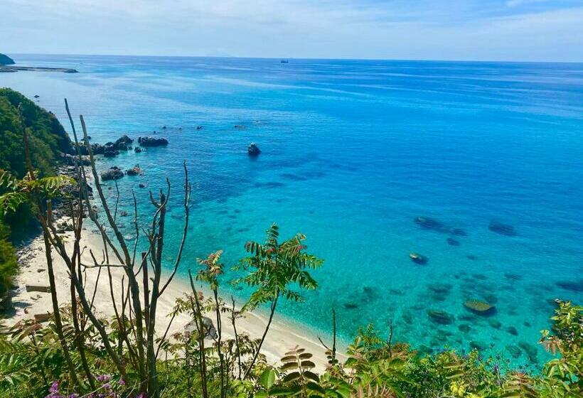 פנסיון Glicine