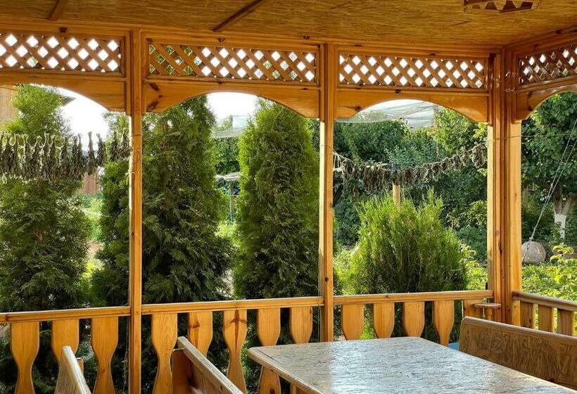 بنسيون Green Training Center