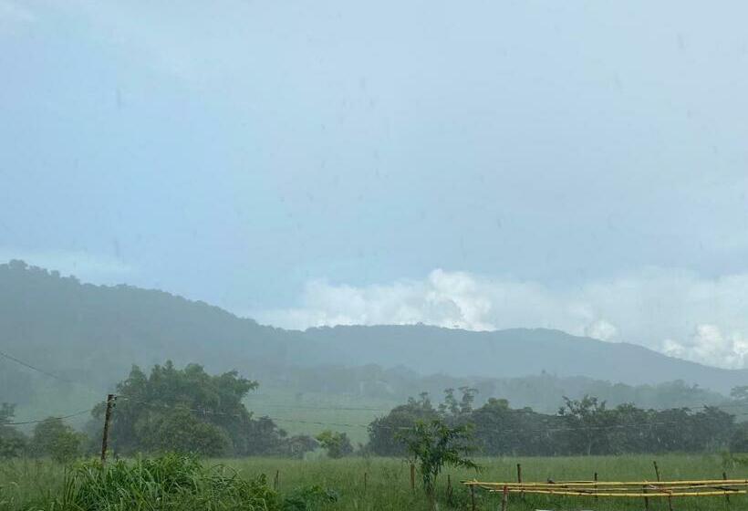 بنسيون Pousada Vila Das Oliveiras