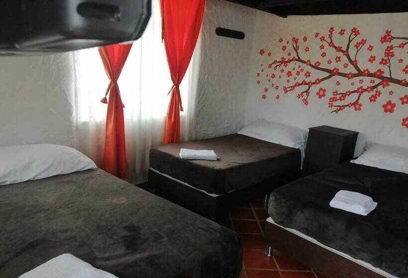 פנסיון Villa Luisa Hotels