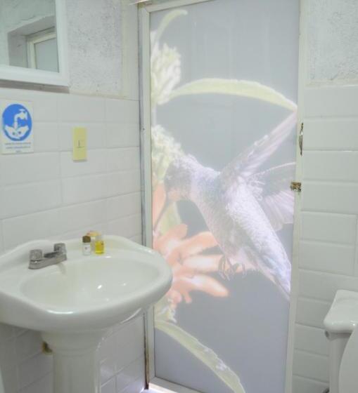 Vicalis Hotel, Villas Y Glamping