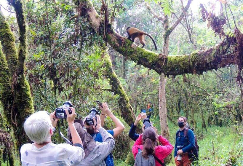 هاستل Agape House