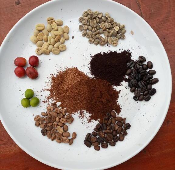 هاستل Agape House