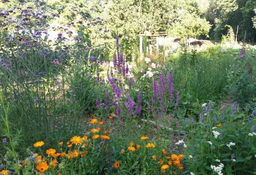 צימר De Geheime Tuin   Huisje In  T Groen