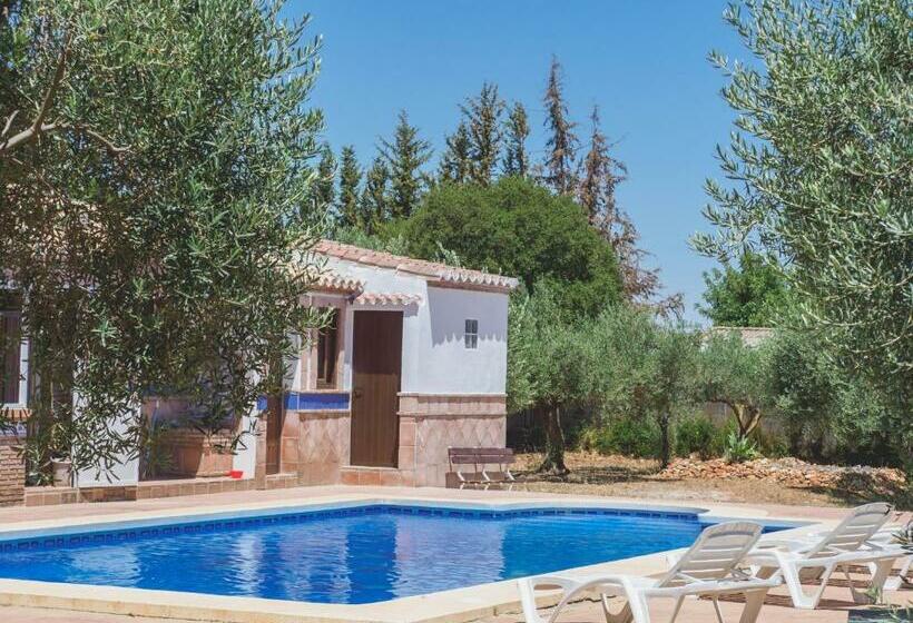 Cubo S Finca Sanchez Aranda