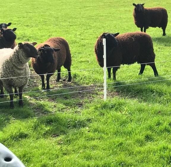 בית מלון כפרי Blackrath Farmhouse