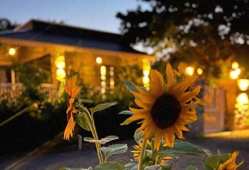 فندق Jawai Greens