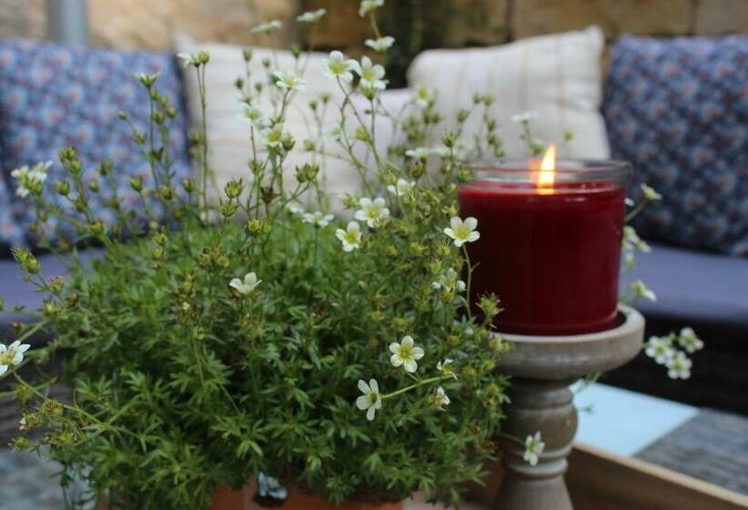 Moderne Wohnung Im Skandinavischen Stil Am Waldrand