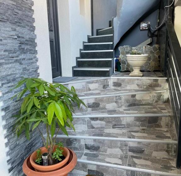 Пансион Casa Paraschiva