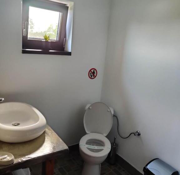 بنسيون Casa Vlad