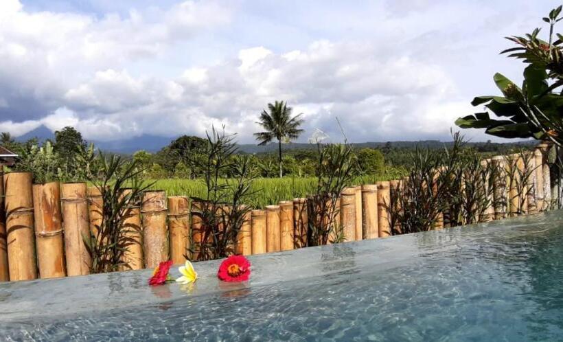 פנסיון Room In Villa   The Champuhan Villa   Honeymoon Villa With Rice Field View