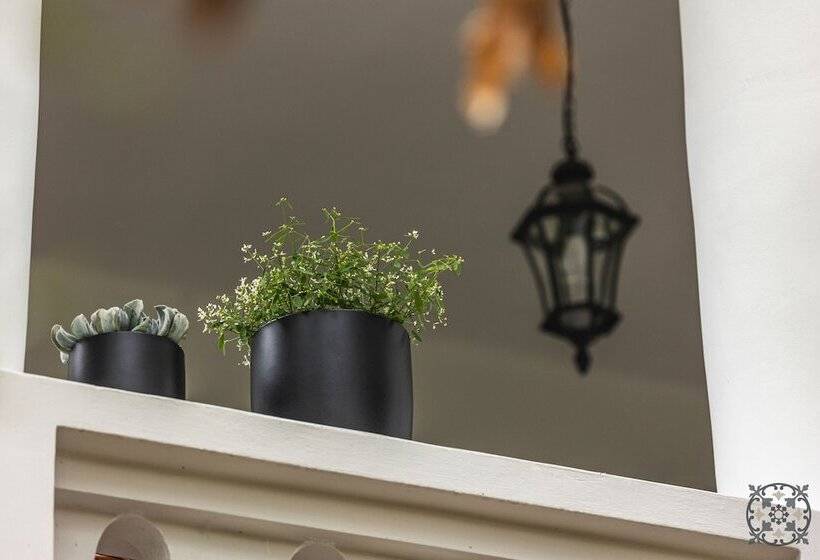 Пансион Villa Chez Les Amis   Adults Only