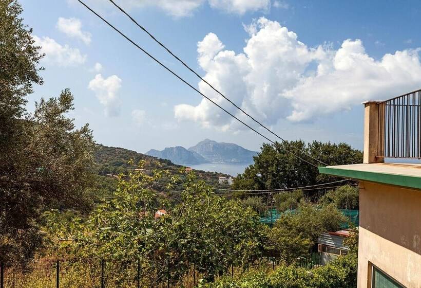 Amore Rentals   Villa The Stone On The Sea