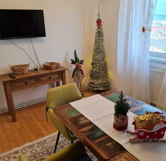 Apartament Central