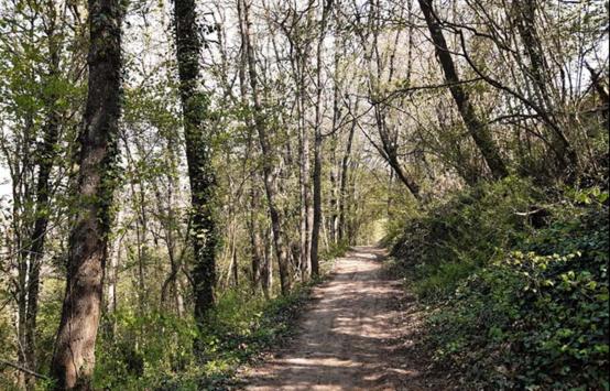 住宿加早餐  Chambre De Charme Dans Maison D Hote Le Petit Clouet   Rochecorbon