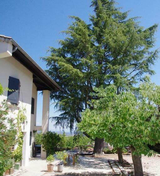 住宿加早餐  Le Grand Cèdre   2 Chambres D Hôtes   Sud Ardèche