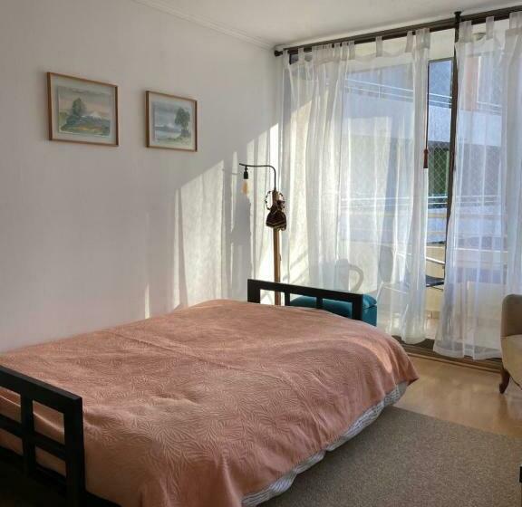 Departamento Dos Ambientes Providencia