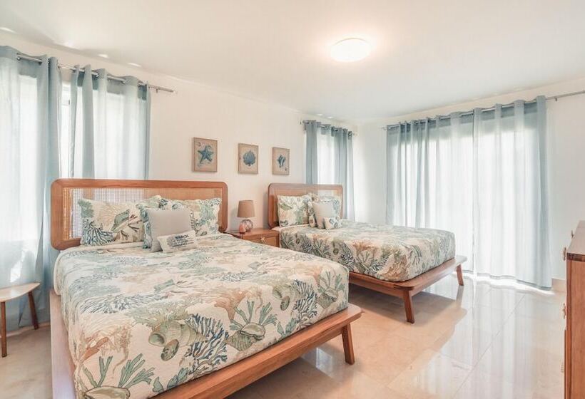 Green One V303 In Puerto Plata