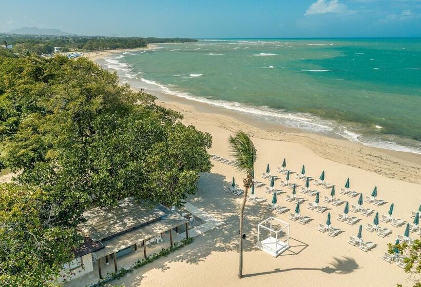 Green One V303 In Puerto Plata