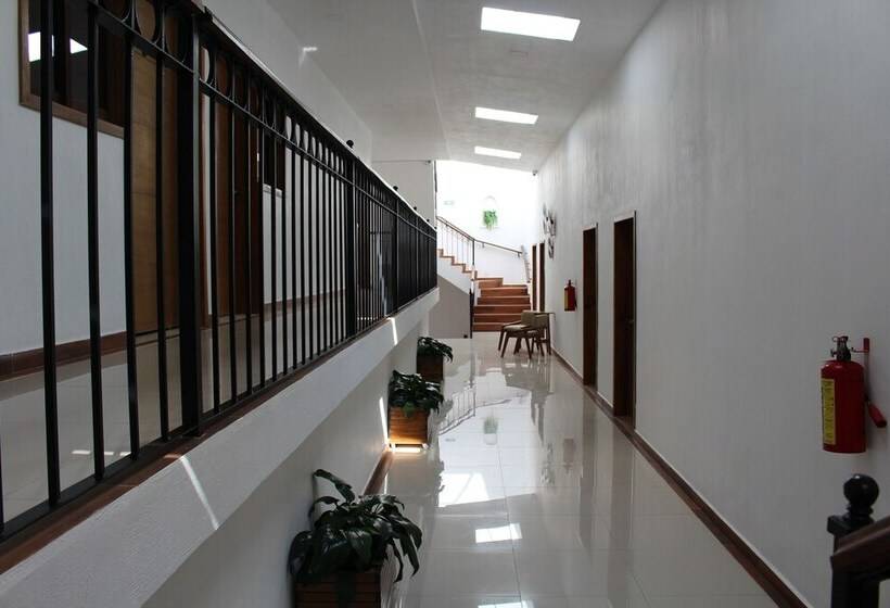 فندق Casa Peregrina