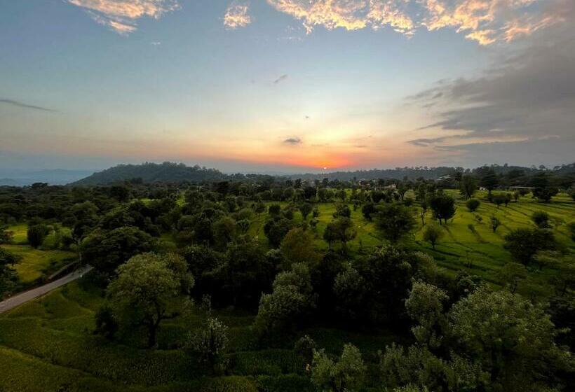 فندق Click Collection The Abode, Dharamshala