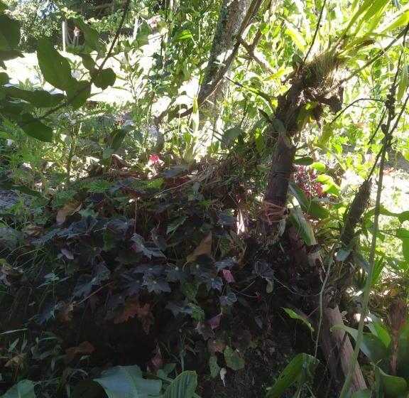 فندق Eco Aldea Topacio