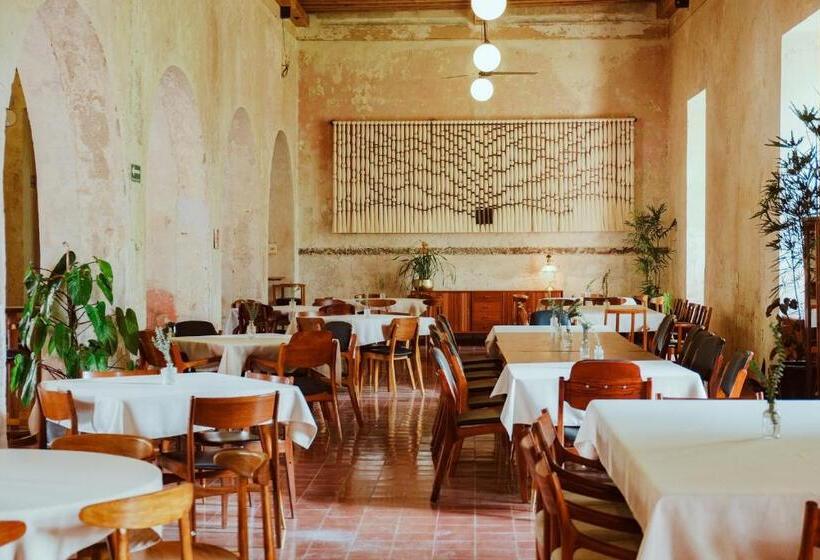 Отель Hércules