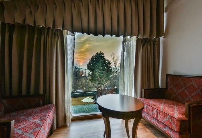 Hotel Metropolis Srinagar