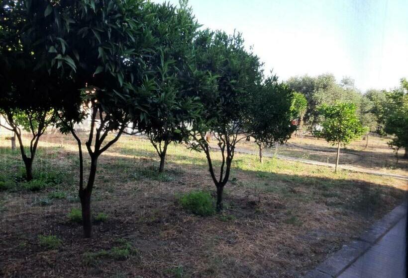 פנסיון Guesthouse Da Caterina