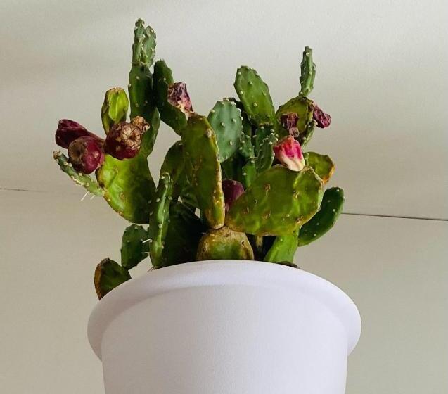 펜션 Mary Home Sicily Deluxe