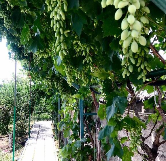 پانسیون Najaryan’s Family Guest House