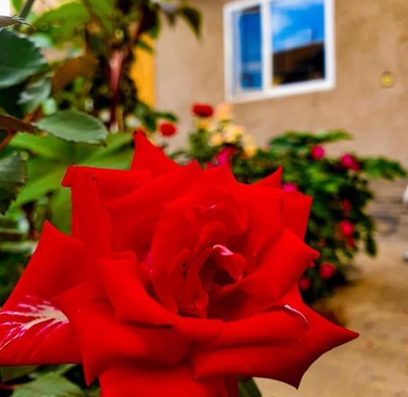 پانسیون Nomad Guest House